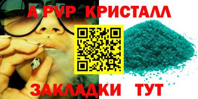шишки Будённовск