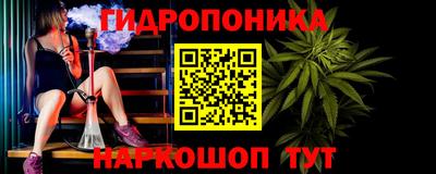 шишки Будённовск